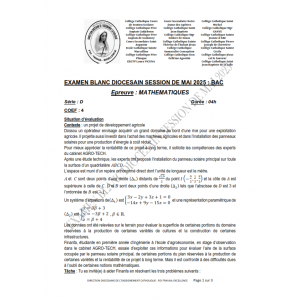 Baccalauréat Blanc Diocésain Mai 2025 – Mathématiques – Série D – Sujet et Corrigé